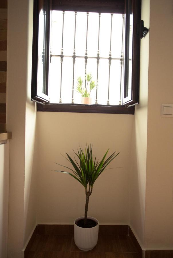 Apartamento Entrecaminos Setenil De Las Bodegas エクステリア 写真